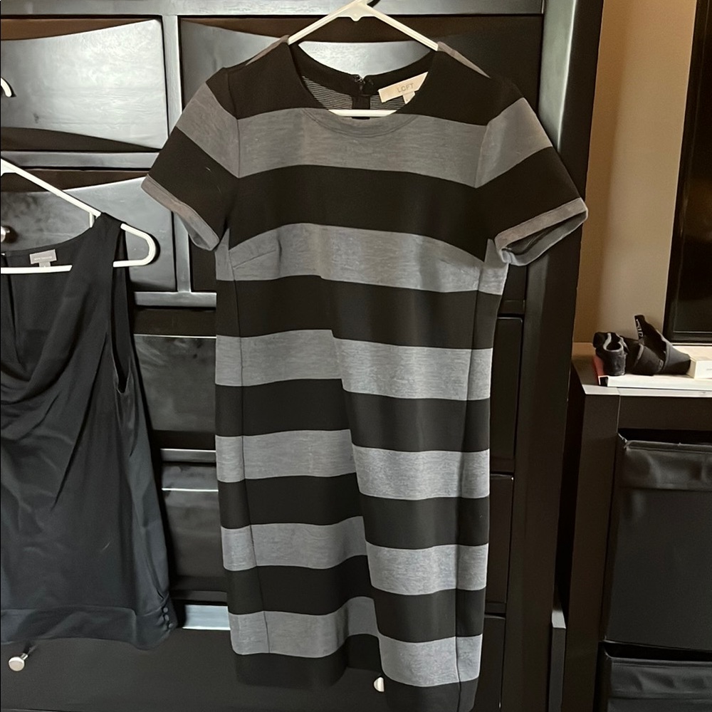 Ann Taylor Loft Black and Gray Dress